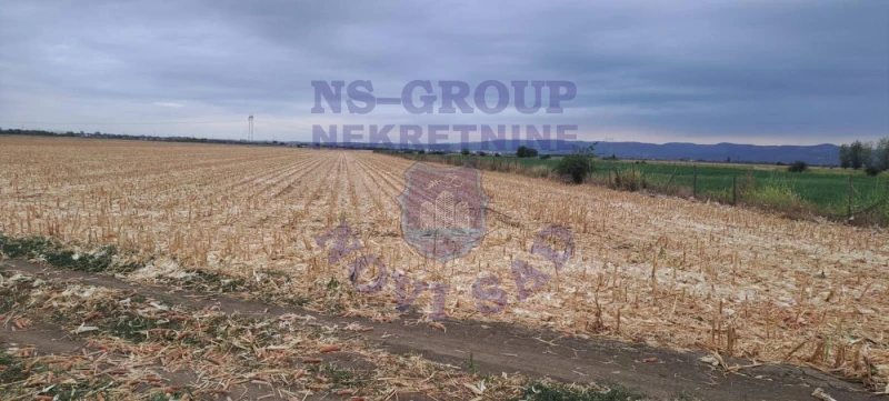 Plac na prodaju Rumenka 9930m2, 578046