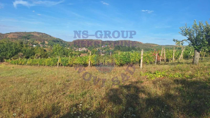 Plac na prodaju Beočin 12314m2, 578145