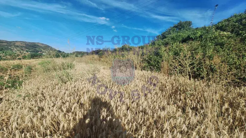 Plac na prodaju Beočin 12314m2, 578145