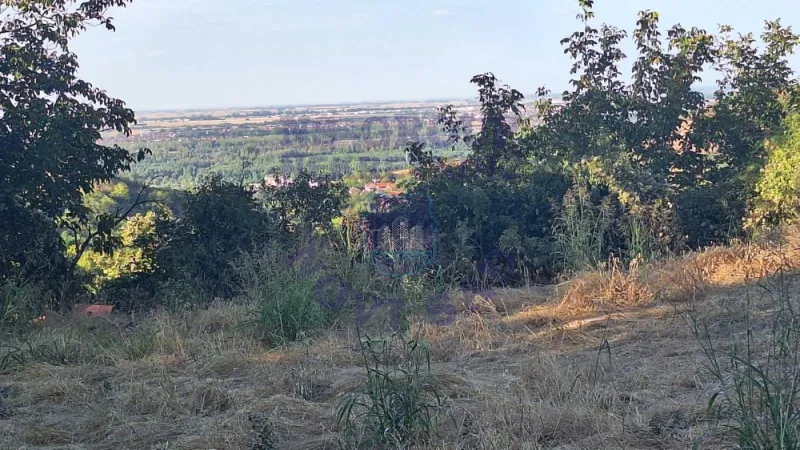 Plac na prodaju Beočin 6980m2, 578156