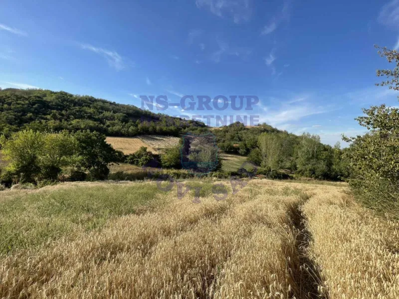 Plac na prodaju Beočin 12314m2, 578145