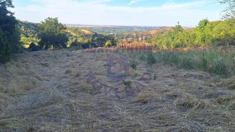 Plac na prodaju Beočin 6980m2, 578156