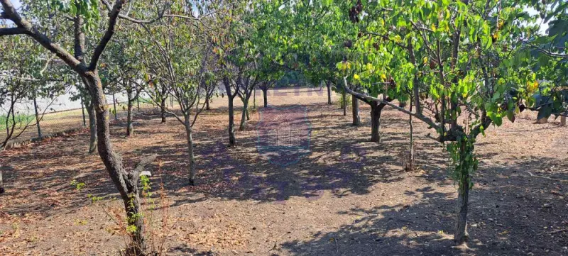 Kuća na prodaju Žabalj 80m2, 578178