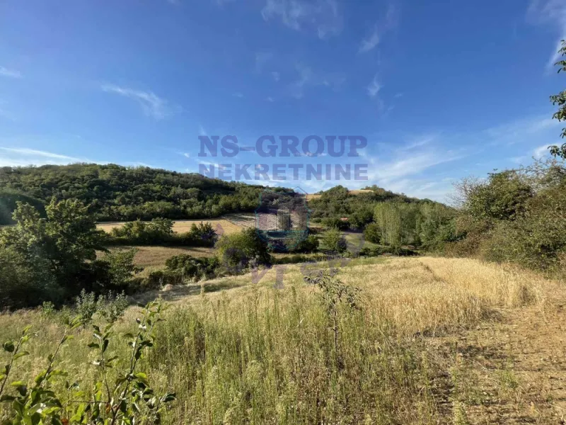 Plac na prodaju Beočin 12314m2, 578145