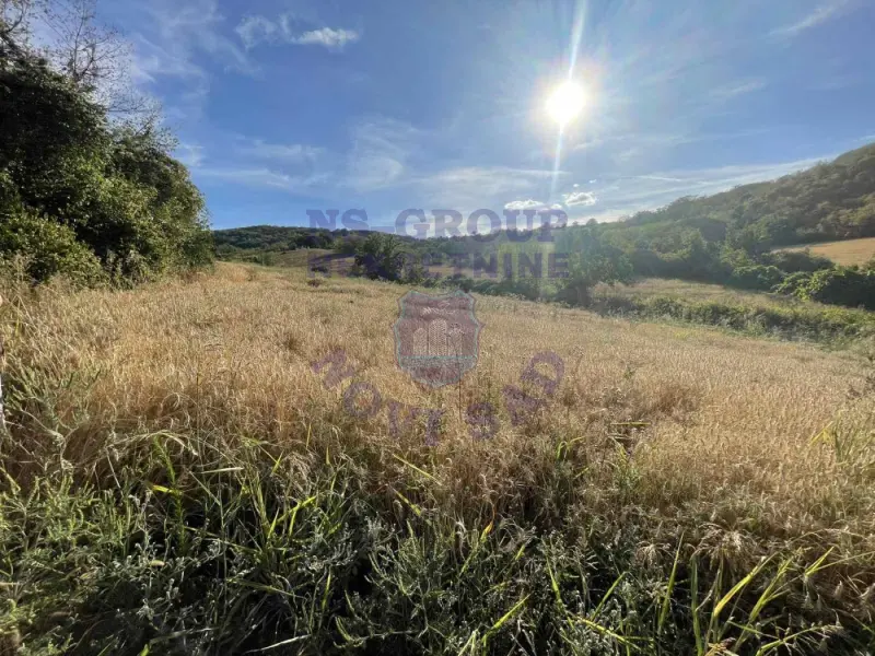 Plac na prodaju Beočin 12314m2, 578145