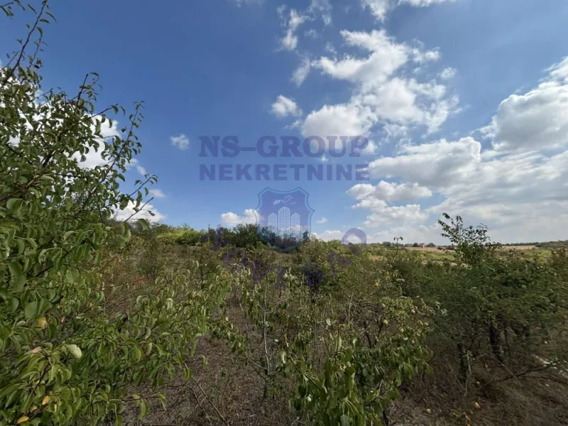 plac na prodaju Vrdnik, 1189m2 577690