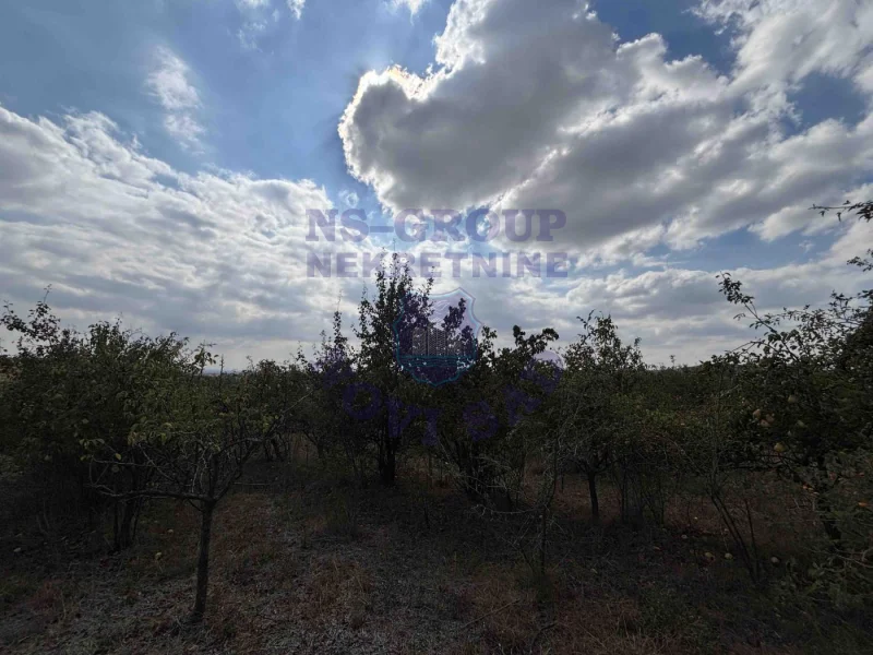 Plac na prodaju Vrdnik 1189m2, 577690