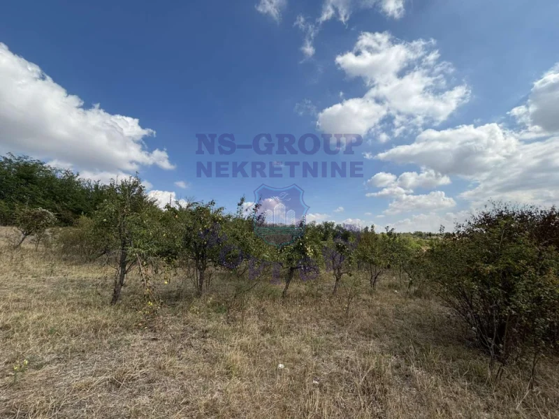 Plac na prodaju Vrdnik 1189m2, 577690