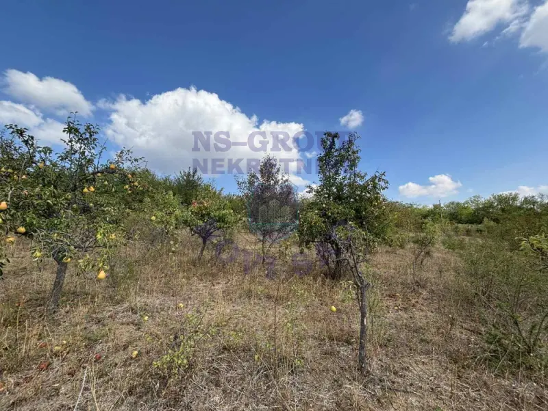 Plac na prodaju Vrdnik 2308m2, 577693