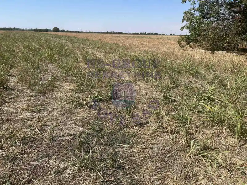plac na prodaju Novi Sad, 14938m2 578275