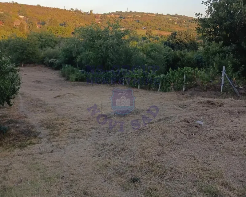 Plac na prodaju Čerević 1501m2, 578311