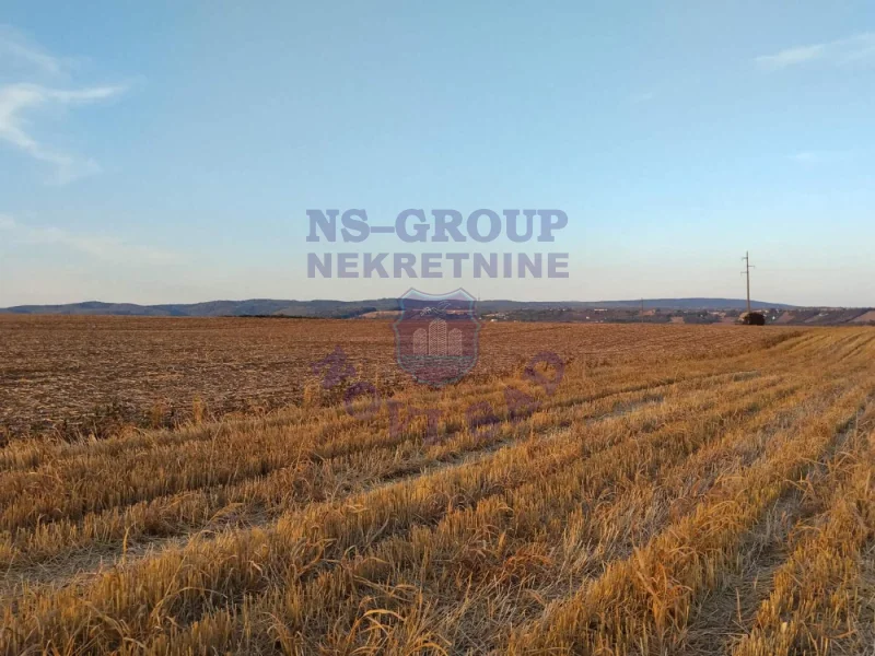 Plac na prodaju Vrdnik 19680m2, 578387