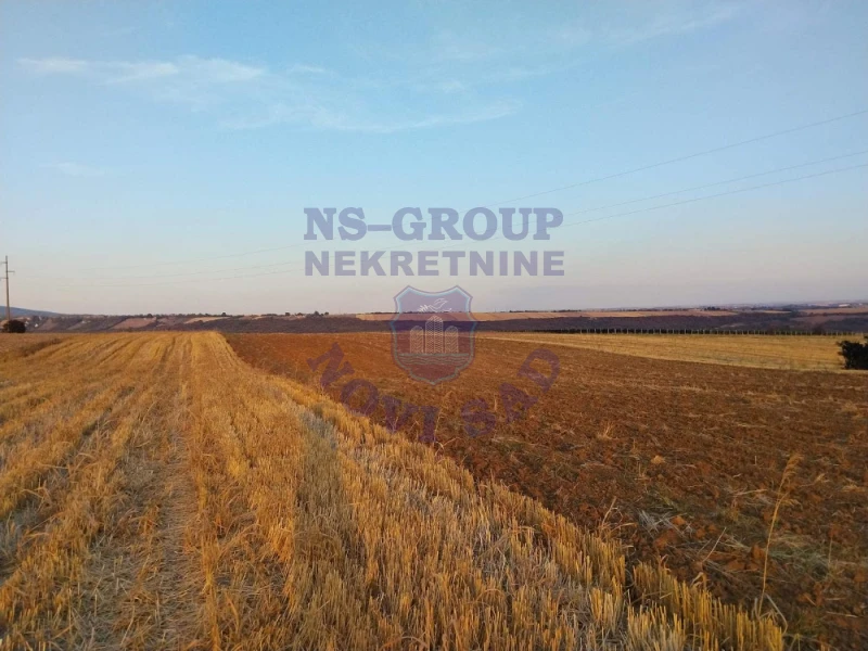 Plac na prodaju Vrdnik 19680m2, 578387