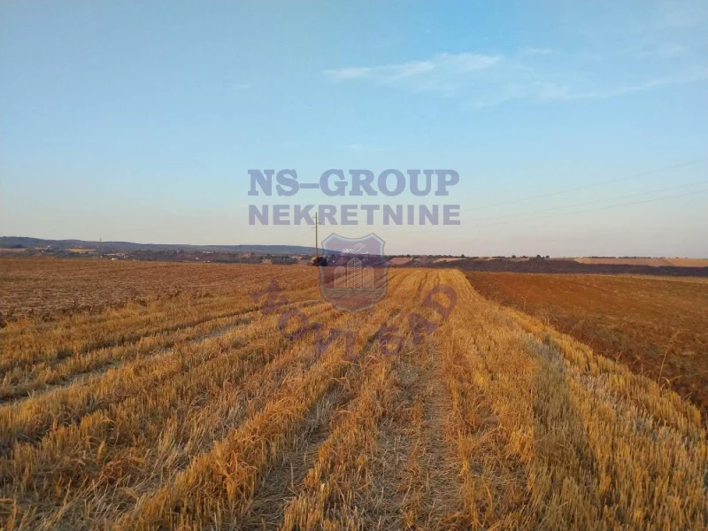 Plac na prodaju Vrdnik 19680m2, 578387