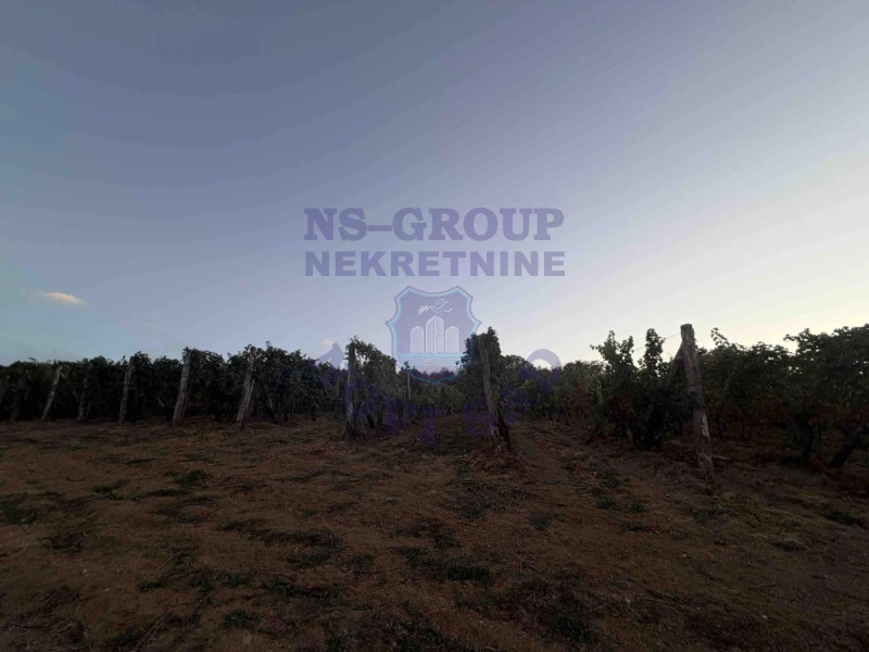 plac na prodaju Sremski Karlovci, 13996m2 578521