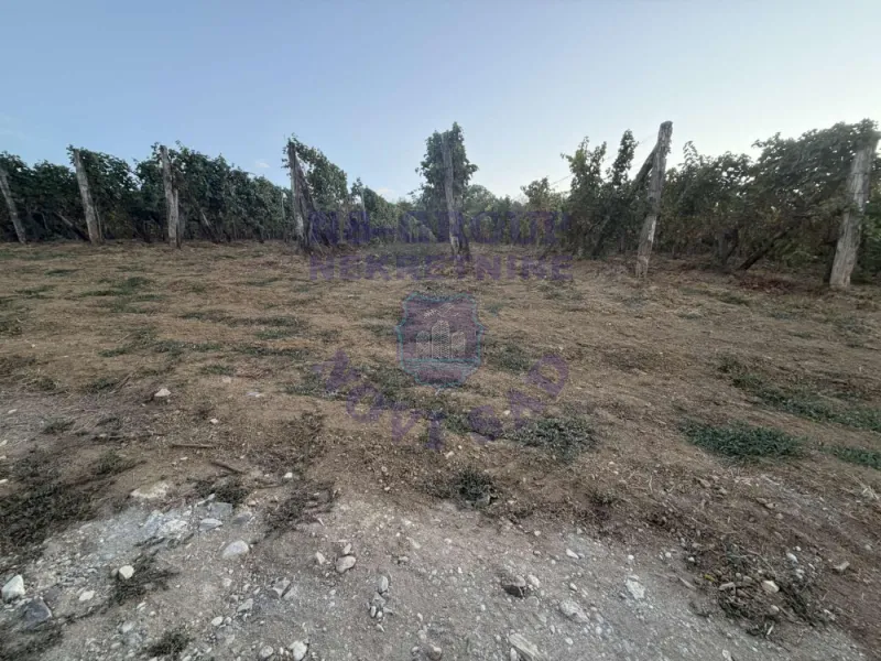 Plac na prodaju Sremski Karlovci 13996m2, 578521