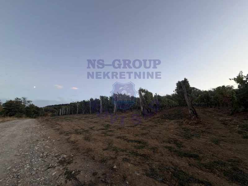 Plac na prodaju Sremski Karlovci 13996m2, 578521