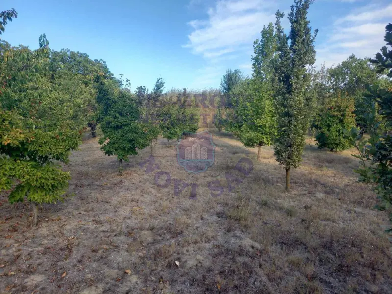 Kuća na prodaju Čurug 90m2, 543313