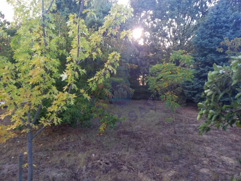 Kuća na prodaju Čurug 90m2, 543313