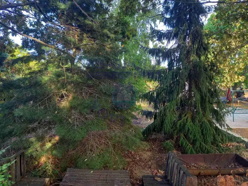 Kuća na prodaju Čurug 90m2, 543313