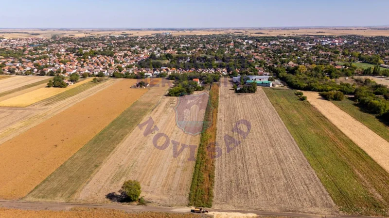 Kuća na prodaju Temerin 331m2, 578680