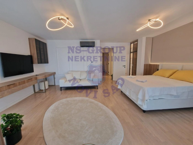 Stan na prodaju Novi Sad 201m2, 578677