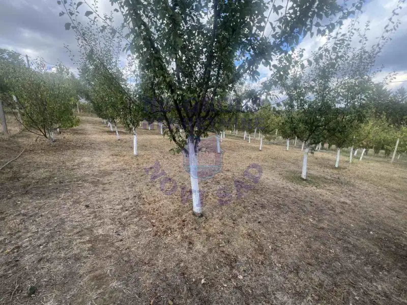 Plac na prodaju Sremska Kamenica 2000m2, 578702