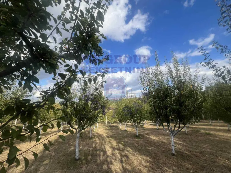 Plac na prodaju Sremska Kamenica 2000m2, 578702