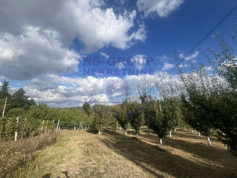 plac na prodaju Sremska Kamenica, 2000m2 578702