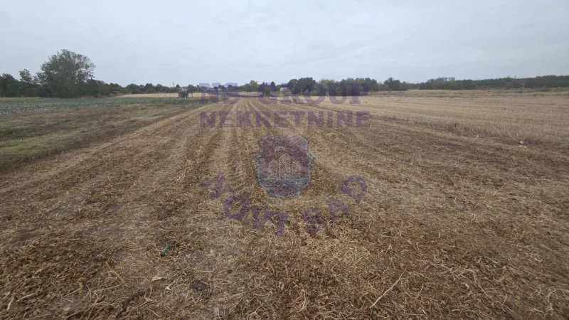 Plac na prodaju Rumenka 1600m2, 578778