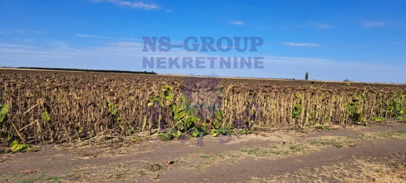 plac na prodaju Kisač, 12260m2 578757