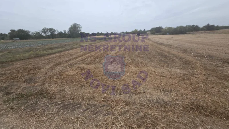 Plac na prodaju Rumenka 1600m2, 578778