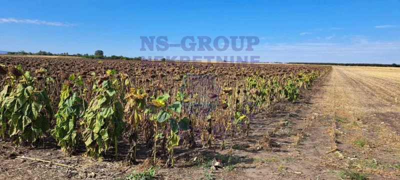 Plac na prodaju Kisač 12260m2, 578757
