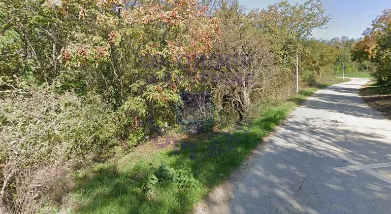 Plac na prodaju Čerević 1319m2, 578464