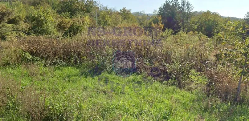 Plac na prodaju Čerević 1319m2, 578464