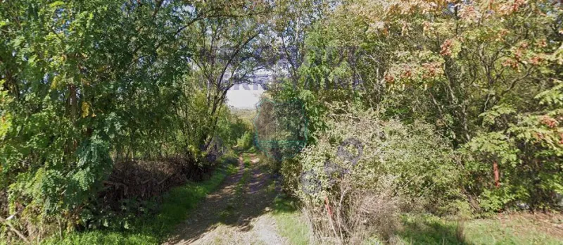 plac na prodaju Čerević, 1319m2 578464