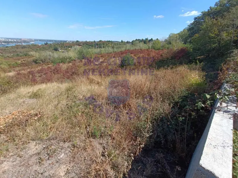 Plac na prodaju Ledinci 12147m2, 578765
