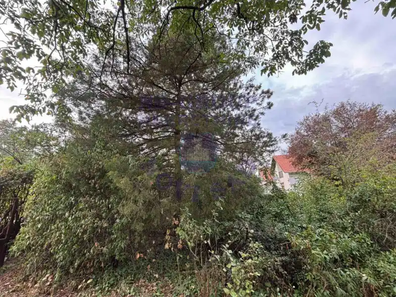 Plac na prodaju Sremska Kamenica 2500m2, 578851