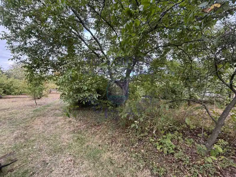 Plac na prodaju Sremska Kamenica 2500m2, 578851