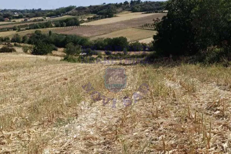 plac na prodaju Bukovac, 1770m2 578829