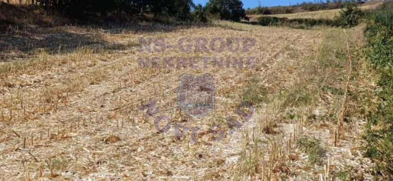 plac na prodaju Bukovac, 1496m2 578827
