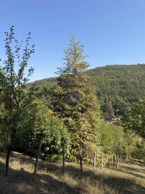 Plac na prodaju Rakovac 1406m2, 578863