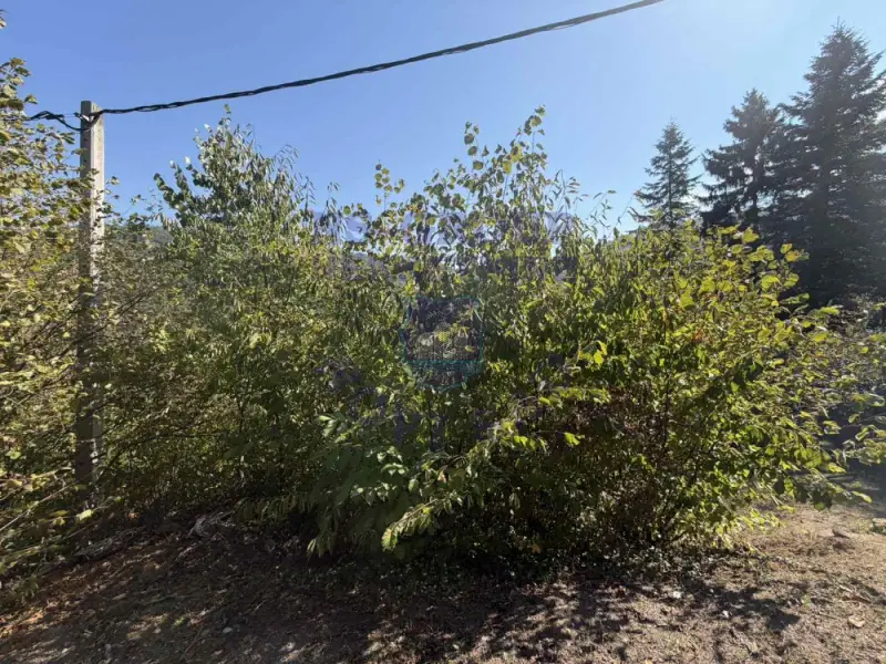 Plac na prodaju Rakovac 1406m2, 578863