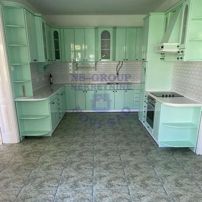 Kuća za izdavanje Novi Sad 300m2, 17558