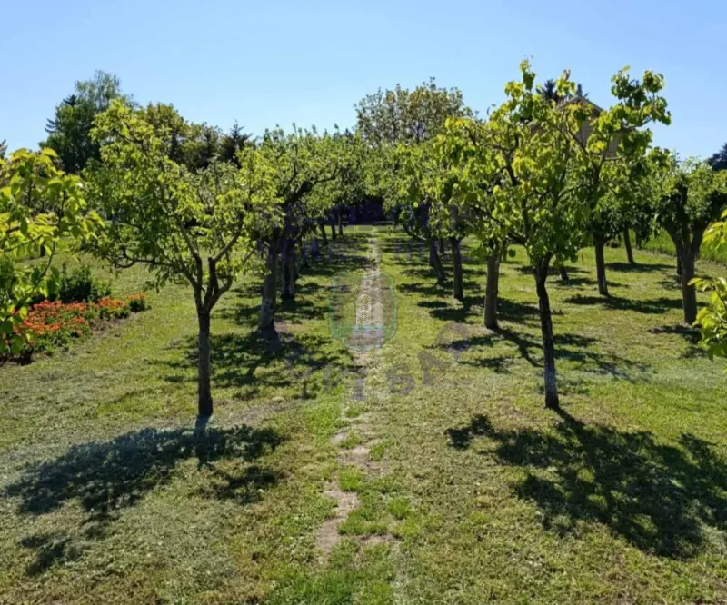 Kuća na prodaju Čortanovci 73m2, 578993