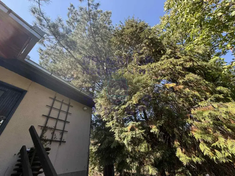 Plac na prodaju Rakovac 1172m2, 578988
