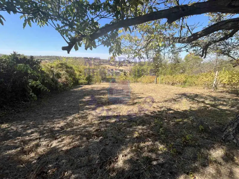 Kuća na prodaju Petrovaradin 27m2, 579097