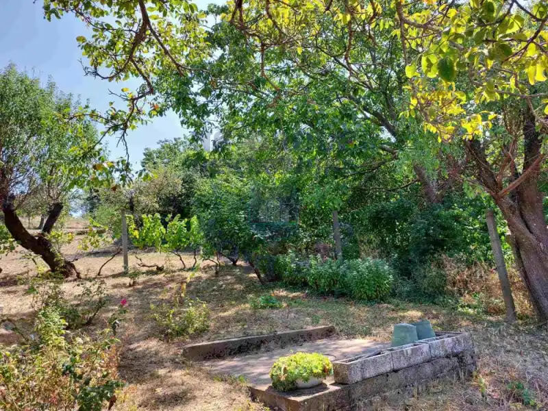 Kuća na prodaju Petrovaradin 27m2, 579097