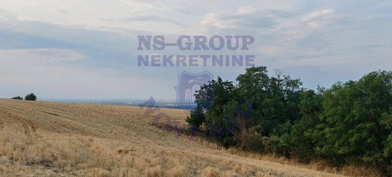 Kuća na prodaju Sremski Karlovci 30m2, 579123