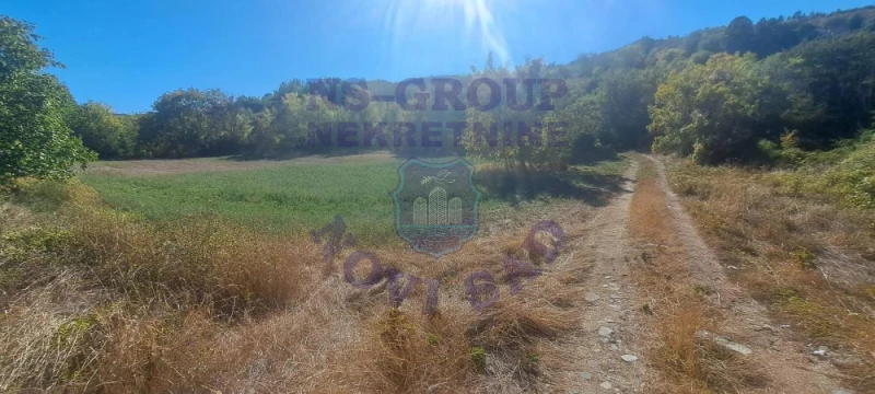 plac na prodaju Sremski Karlovci, 5260m2 579194